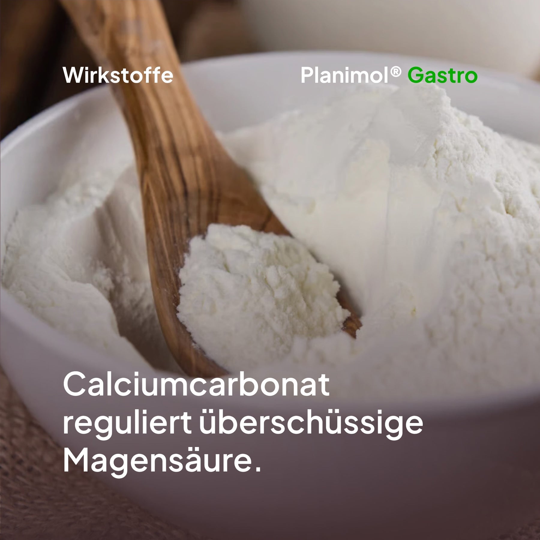 Gastro
