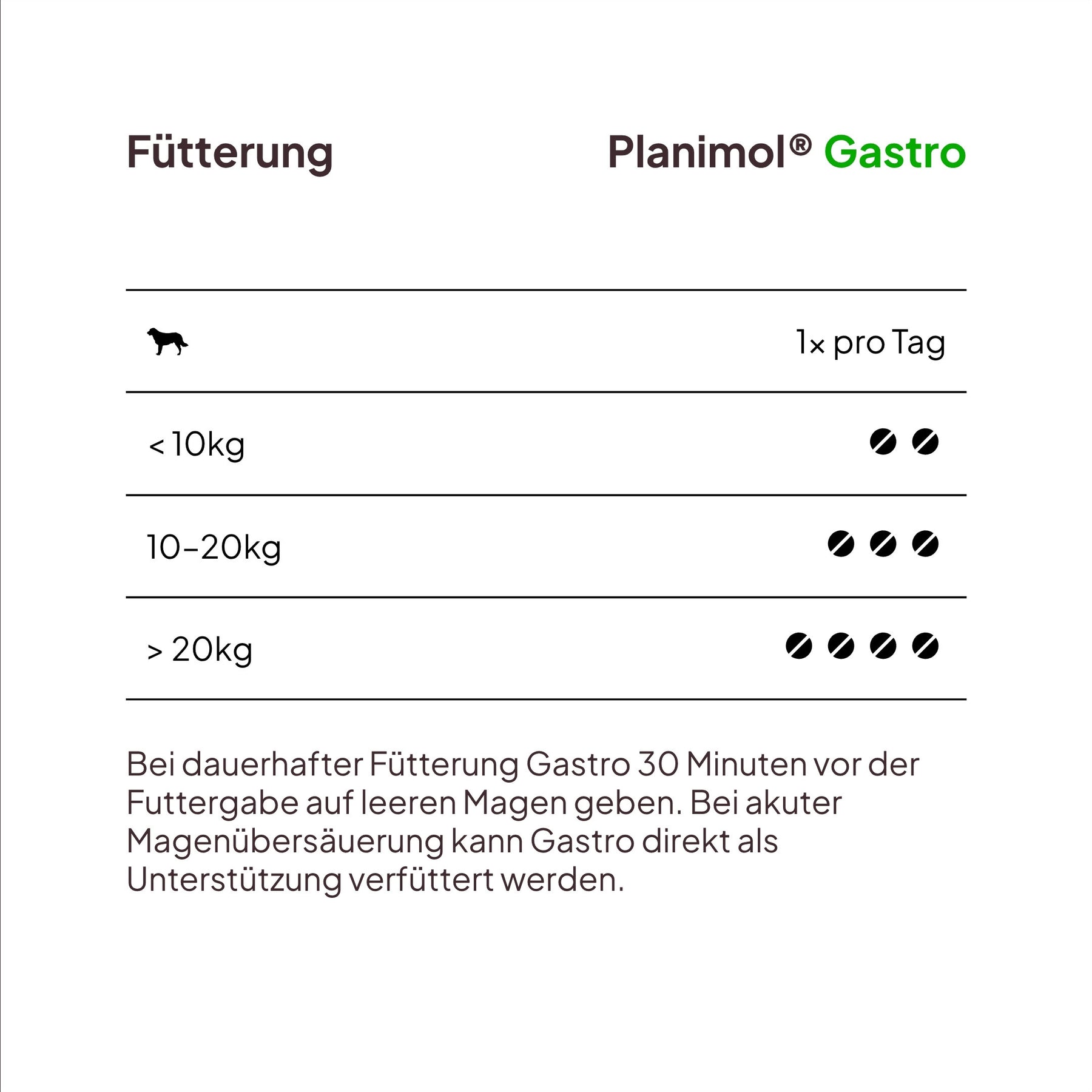 Gastro