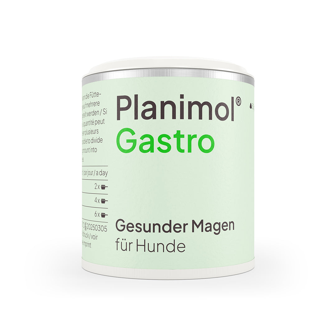 Gastro Pulver