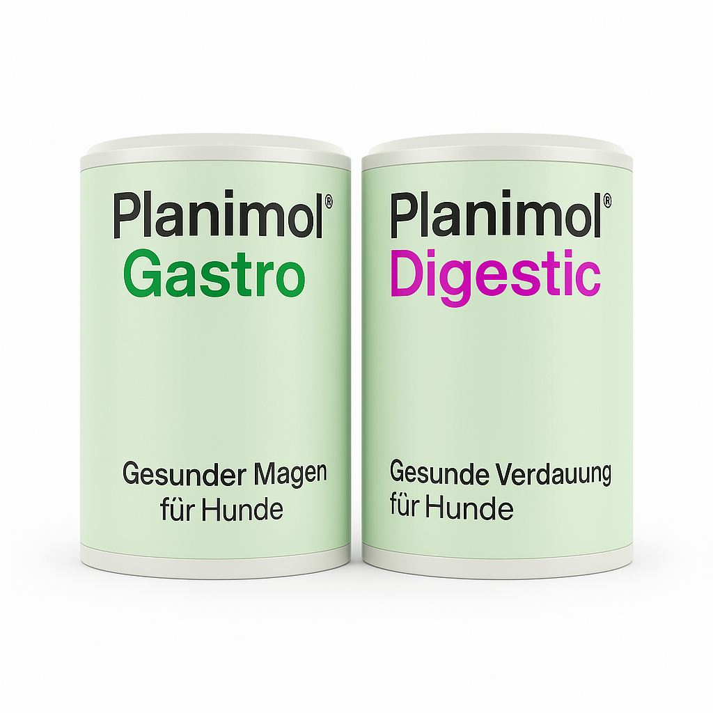 Magendarm Duo