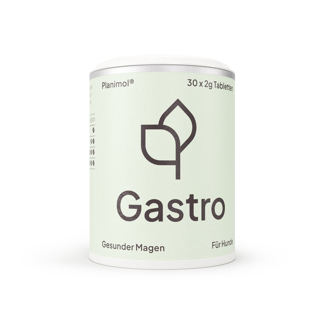 Gastro | Der Magenheld