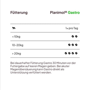 Gastro