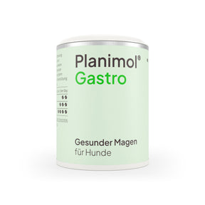 Gastro