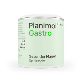 Gastro