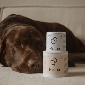 Relax